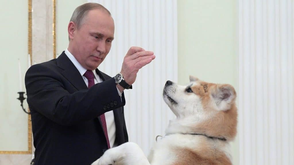 Putin met Akita
