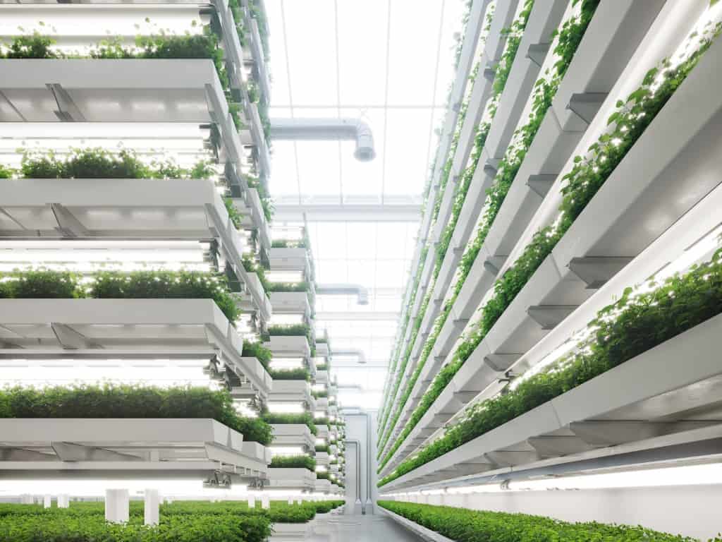 vertical farm generated digitally inside a greenhouse