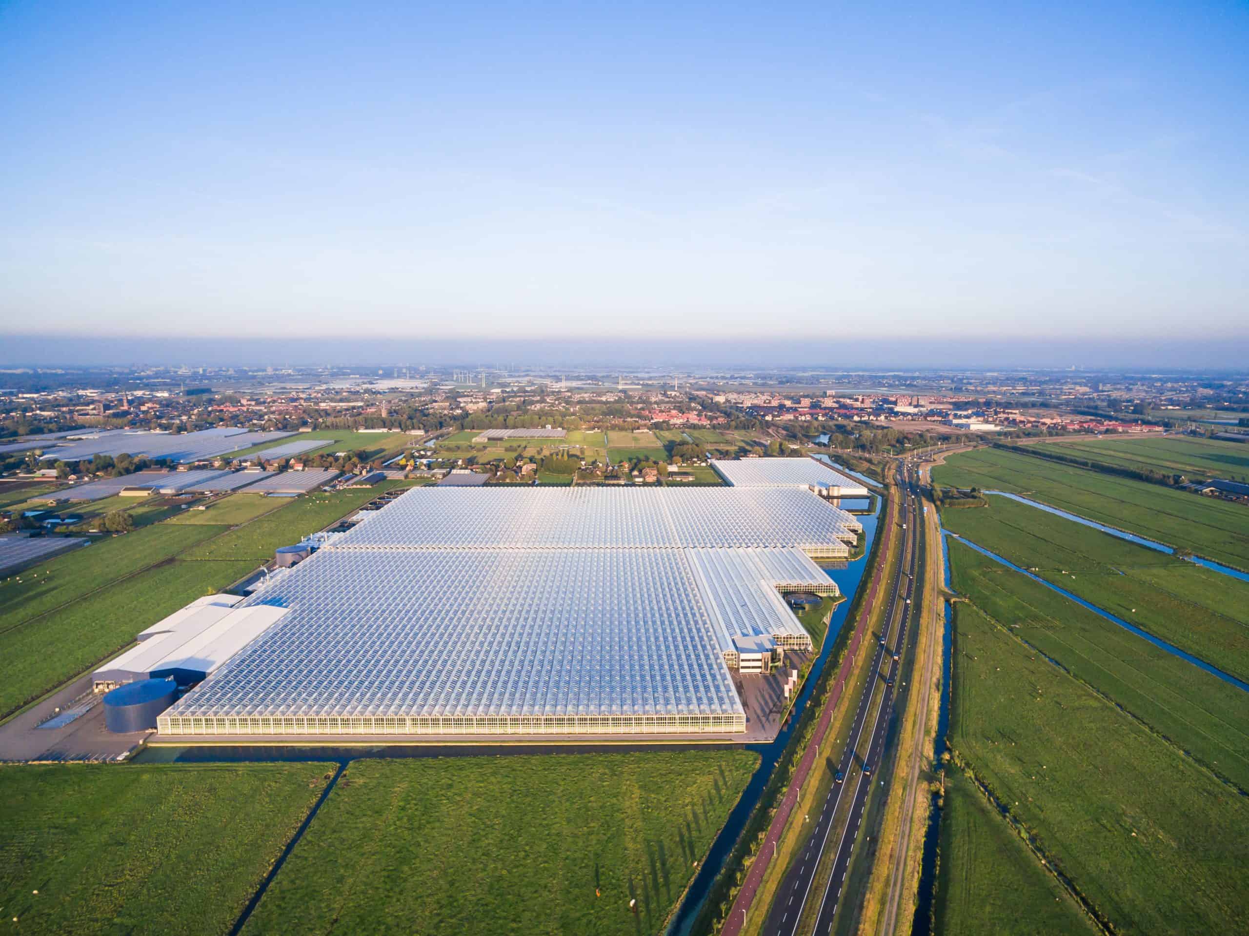 Glastuinbouw Westland Nederland