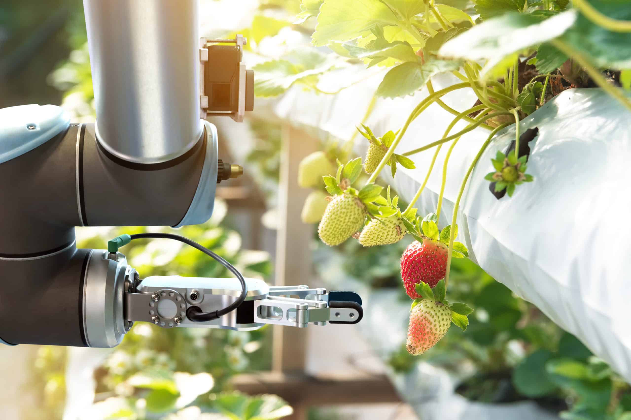 agri-food technologie